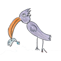 bird2020121